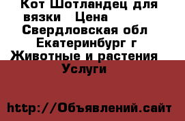 Кот Шотландец для вязки › Цена ­ 1 500 - Свердловская обл., Екатеринбург г. Животные и растения » Услуги   
